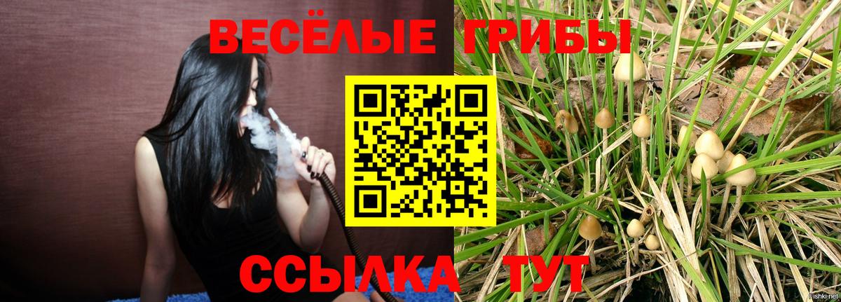 что такое   Галлюциногенные грибы GOLDEN TEACHER  Джанкой  Вход с VPN  Галлюциногенные грибы MAGIC MUSHROOMS 